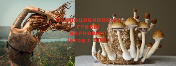 спайс Алексин