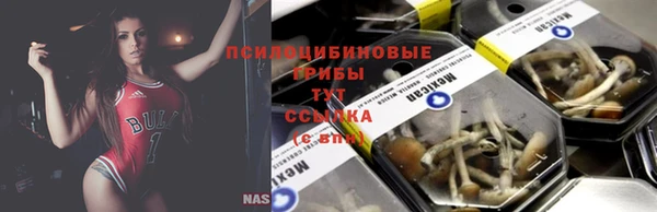 ECSTASY Алзамай