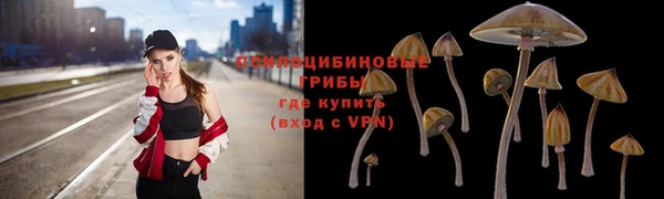 ECSTASY Алзамай