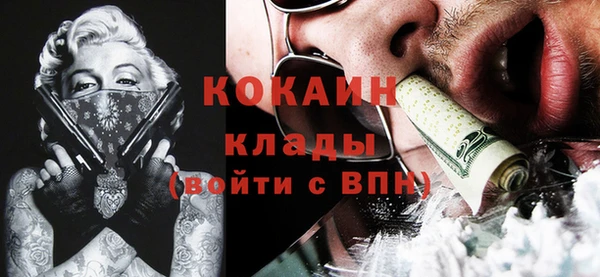спайс Алексин