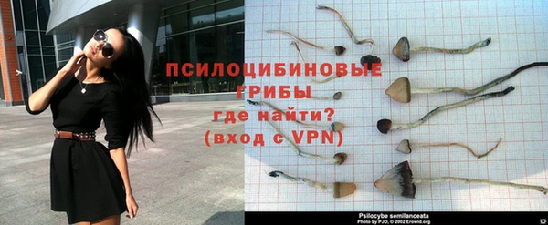 спайс Алексин