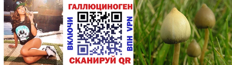 darknet наркотические препараты  магазин  наркотиков  Камызяк  Галлюциногенные грибы MAGIC MUSHROOMS 