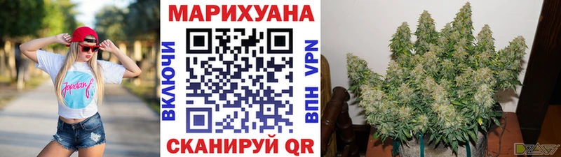 Конопля конопля  купить   Камызяк 
